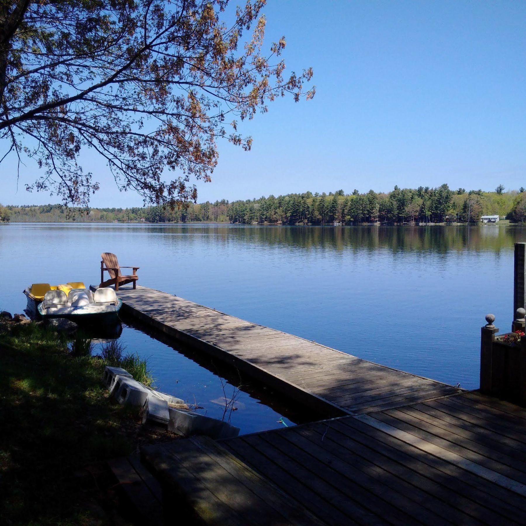 Black Lake Cabins Torrance Exterior foto